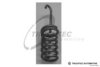 CHRYS 05139479AA Spring, brake shoe